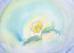 ���褳����Υ��饹��